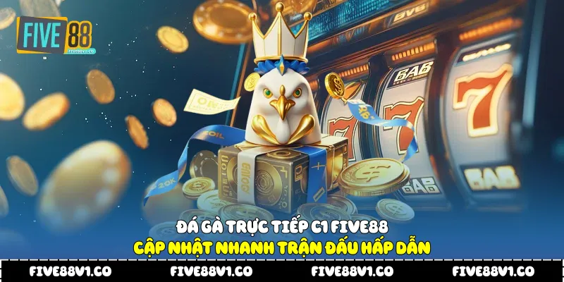 Đá Gà Trực Tiếp C1 Five88 Cập Nhật Nhanh Trận Đấu Hấp Dẫn Đá gà trực tiếp C1